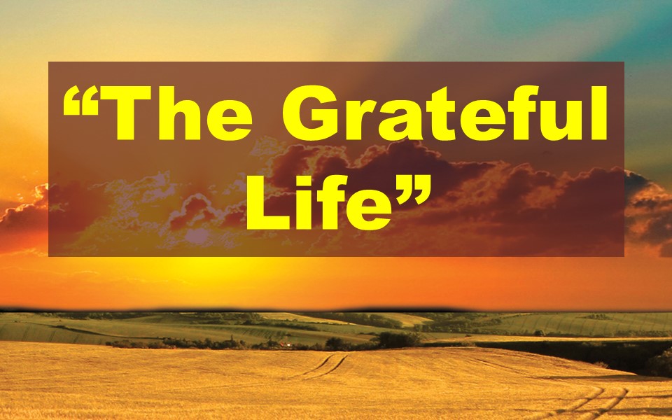 The Greatful Life