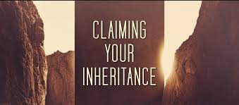 "Dear Theophilus: Claim Your Inheritance"
