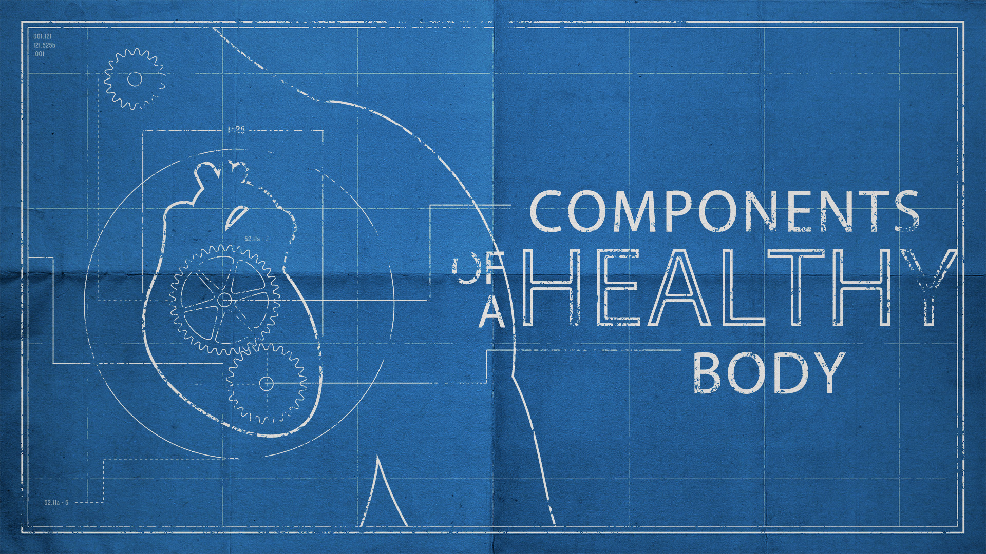 Components of a Healthy Body